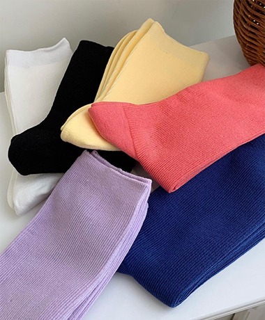 비비드 텐션 socks (데일리 양말) - 6 color